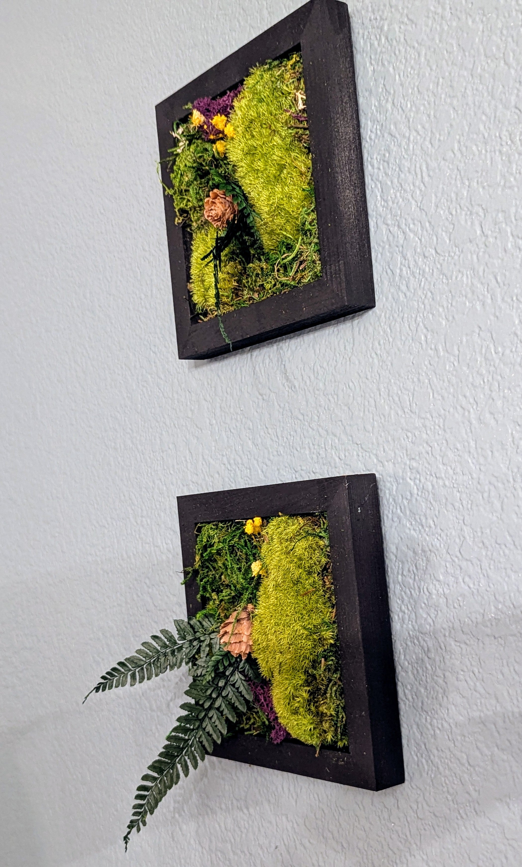 🌿 Mini Handmade Moss Wall Art - 1 Individual