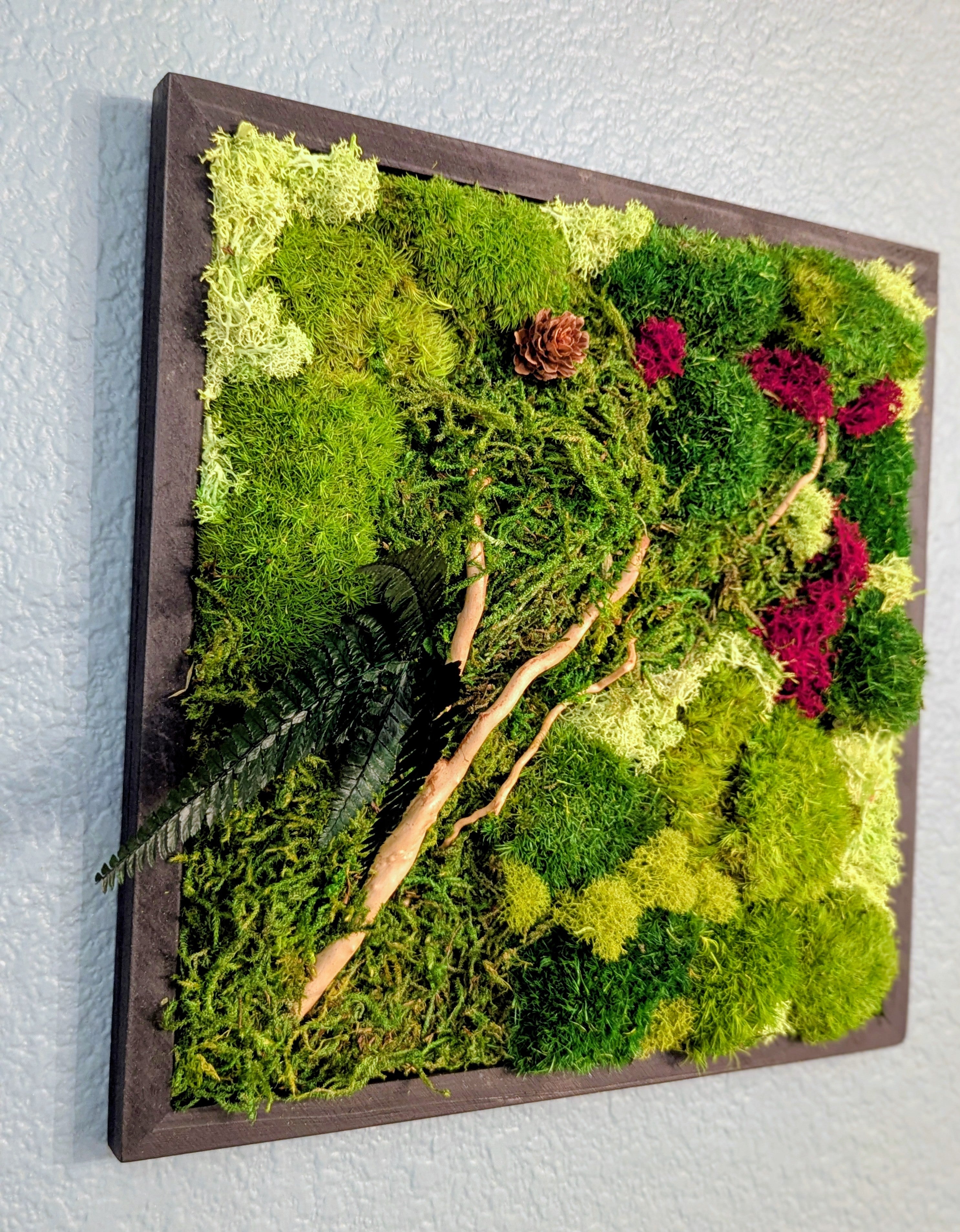 🪴 12-inch Handmade Moss Wall Art - 1 Individual