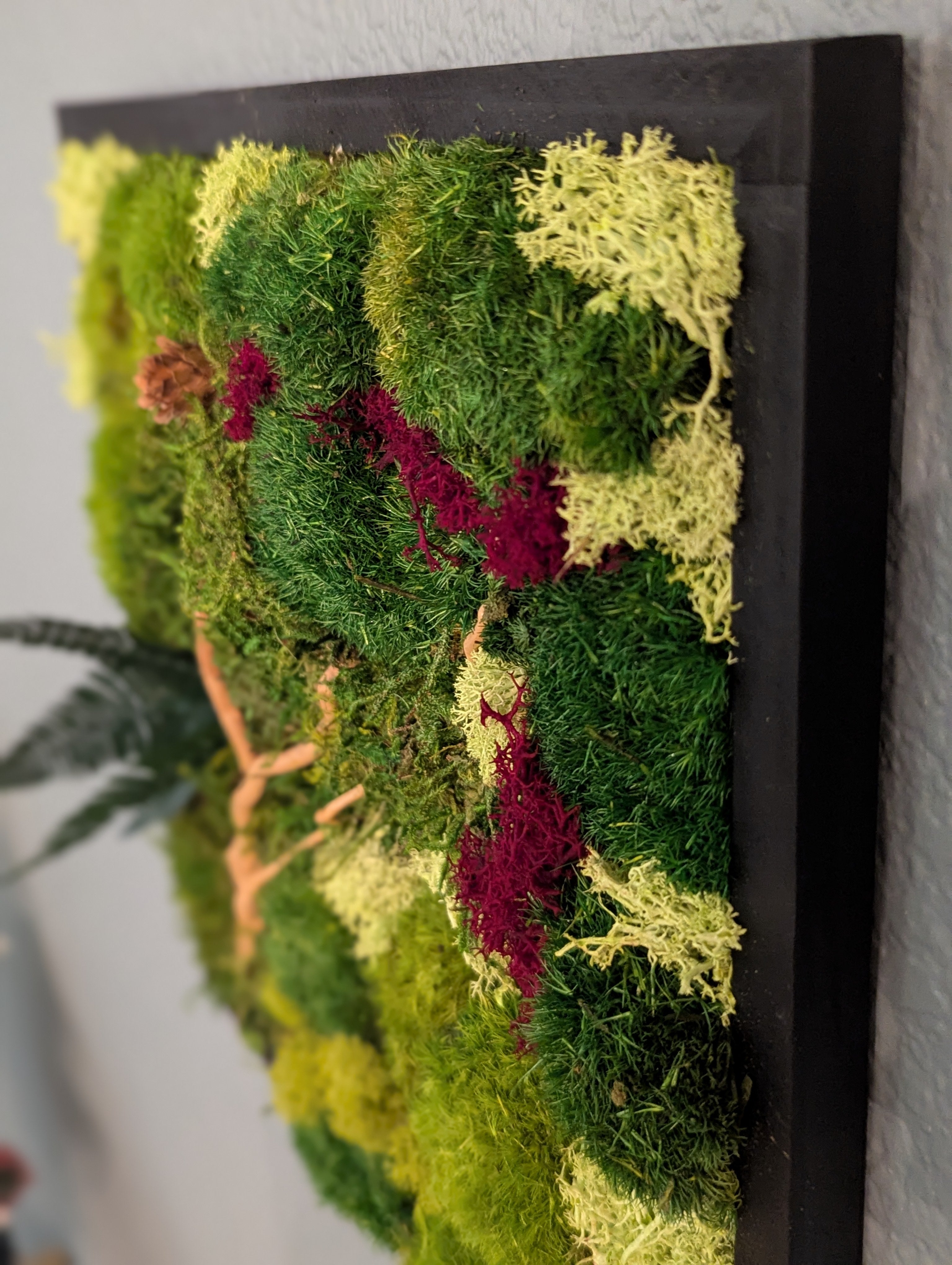 🪴 12-inch Handmade Moss Wall Art - 1 Individual