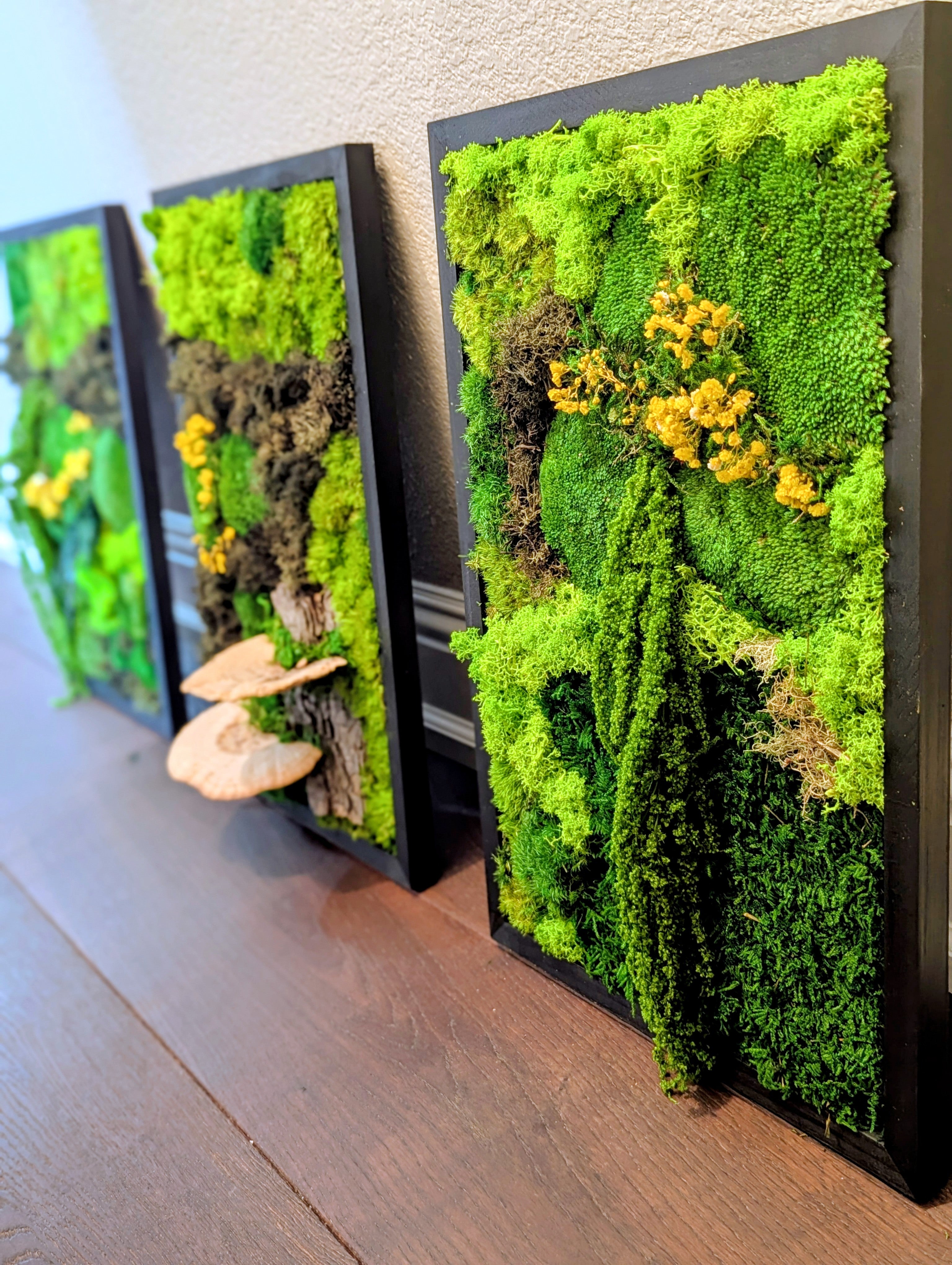 ✨ Rustic Handmade Moss Wall Art - 3 Panels