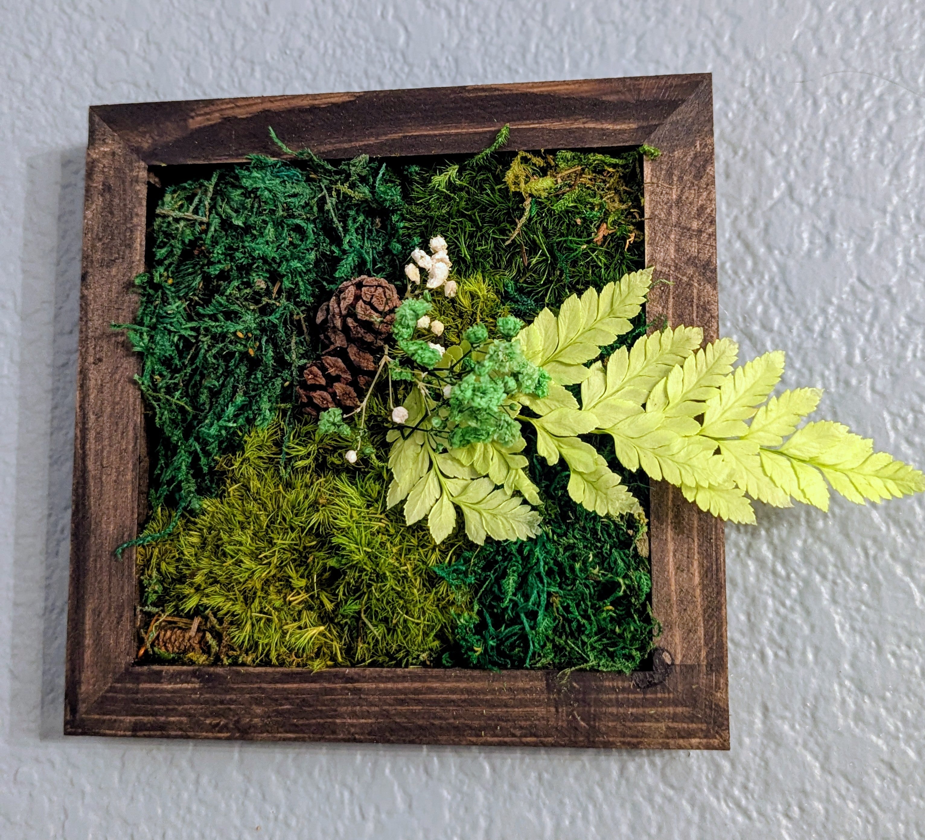 🌿 Mini Handmade Moss Wall Art - 1 Individual