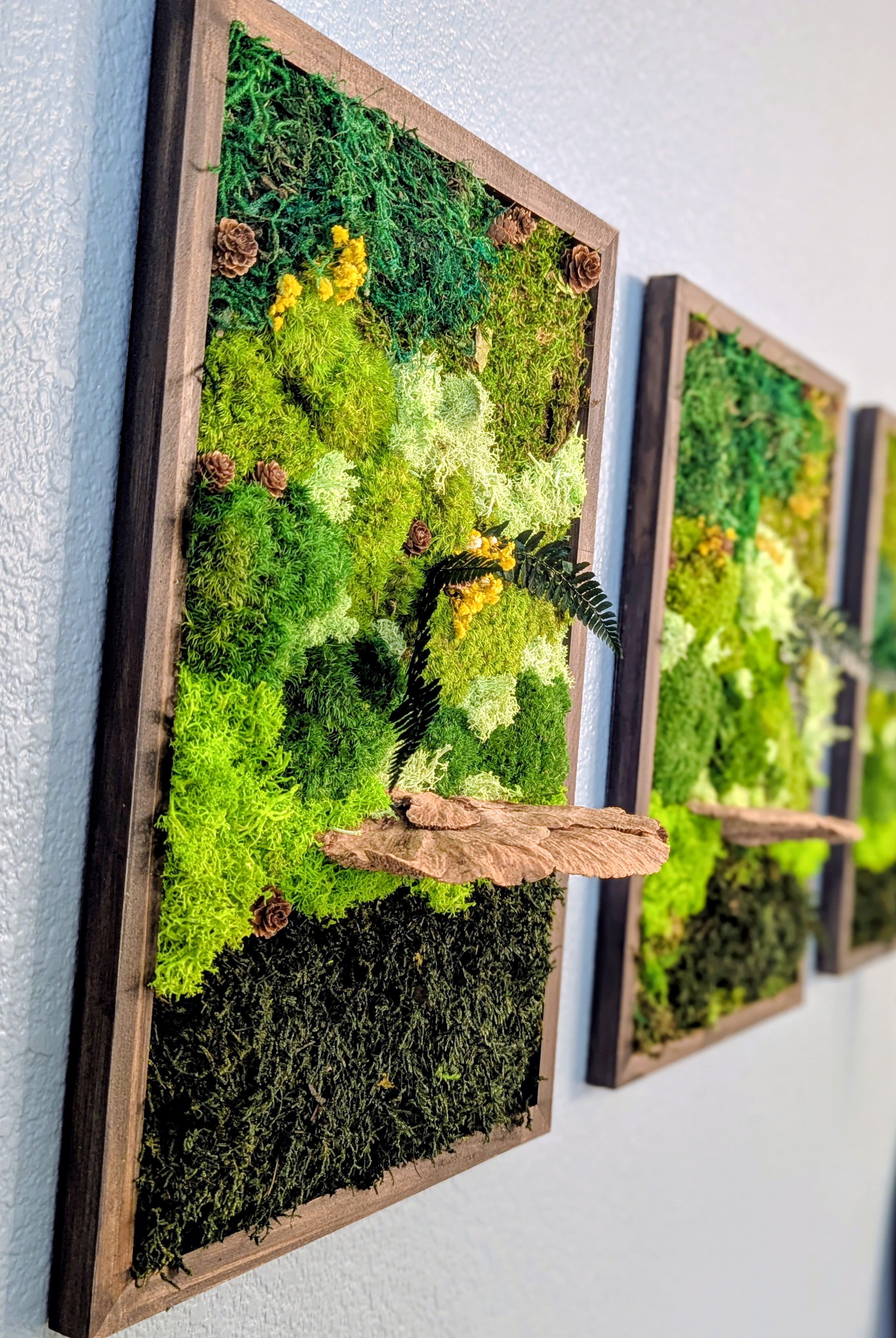 ✨ Rustic Handmade Moss Wall Art - 3 Panels