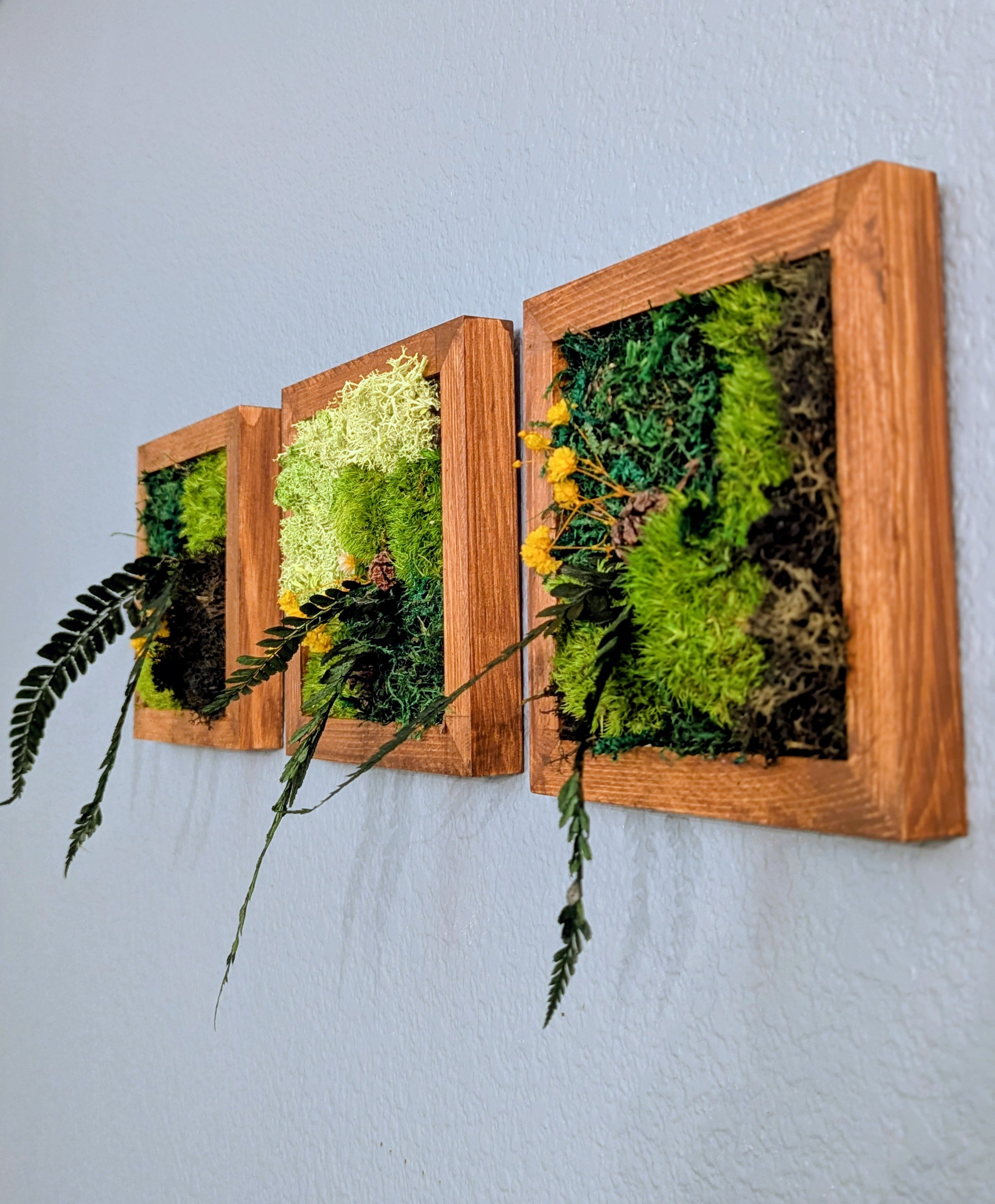 🌿 Mini Handmade Moss Wall Art - 1 Individual