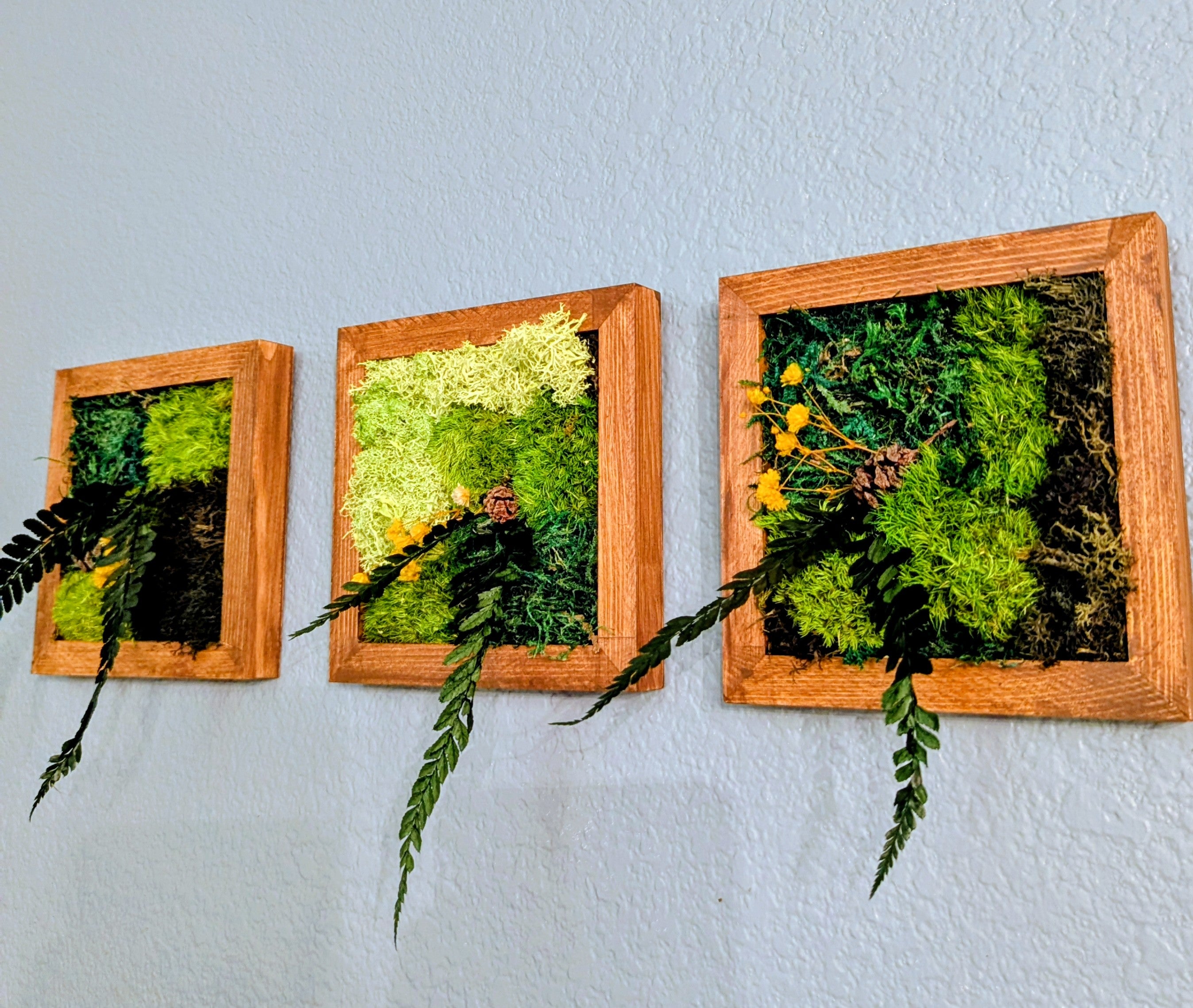 🌿 Mini Handmade Moss Wall Art - 1 Individual