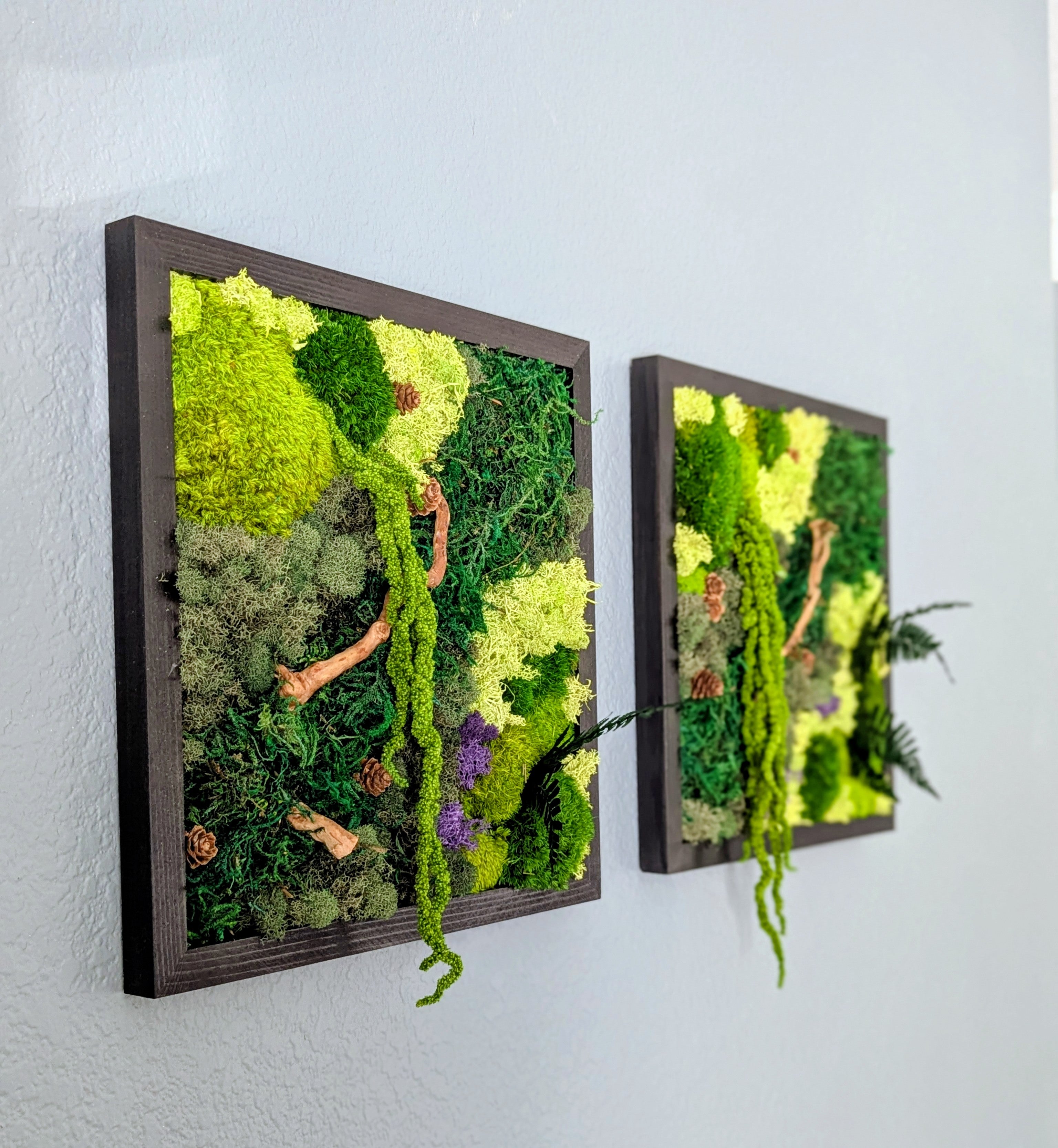 🪴 12-inch Handmade Moss Wall Art - 1 Individual